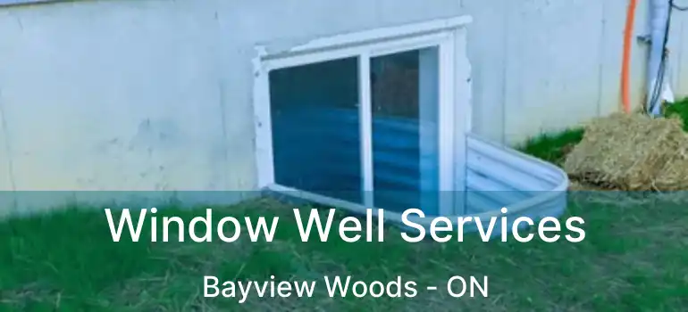  Window Well Services Bayview Woods - ON