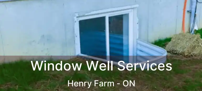  Window Well Services Henry Farm - ON