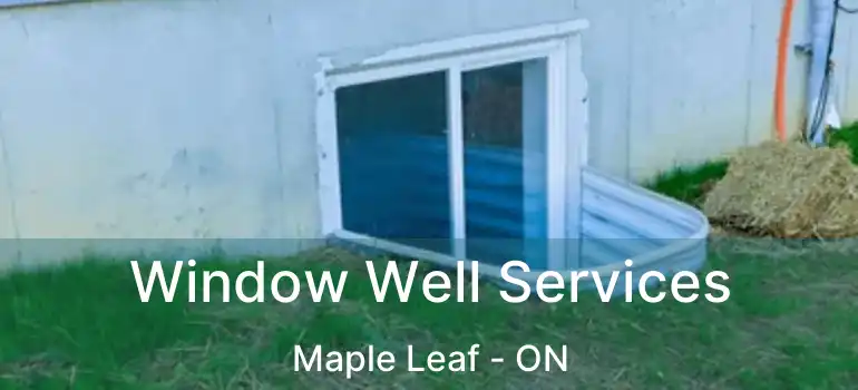  Window Well Services Maple Leaf - ON