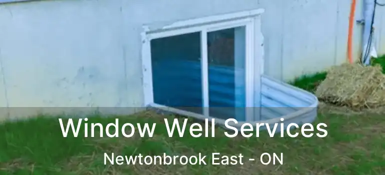  Window Well Services Newtonbrook East - ON