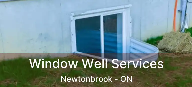  Window Well Services Newtonbrook - ON