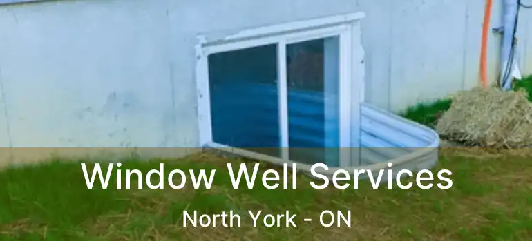  Window Well Services North York - ON