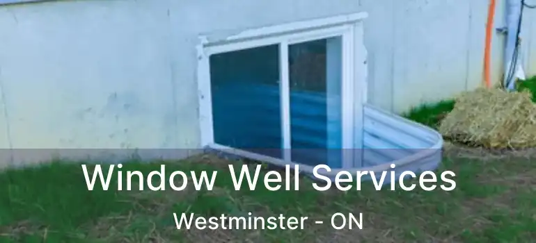  Window Well Services Westminster - ON