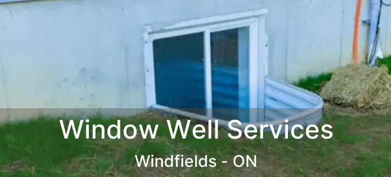  Window Well Services Windfields - ON
