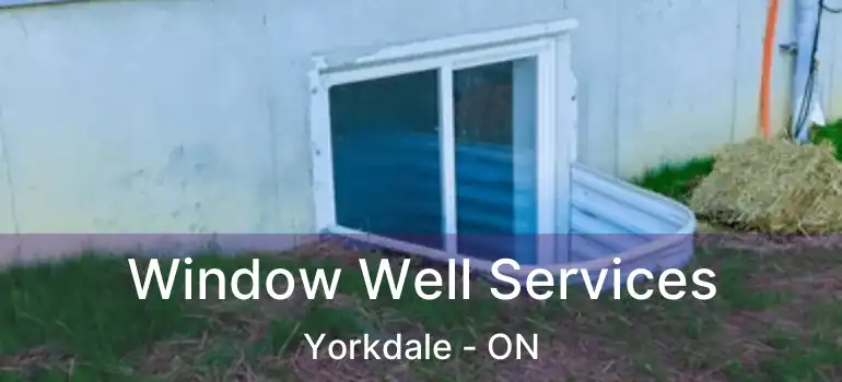  Window Well Services Yorkdale - ON