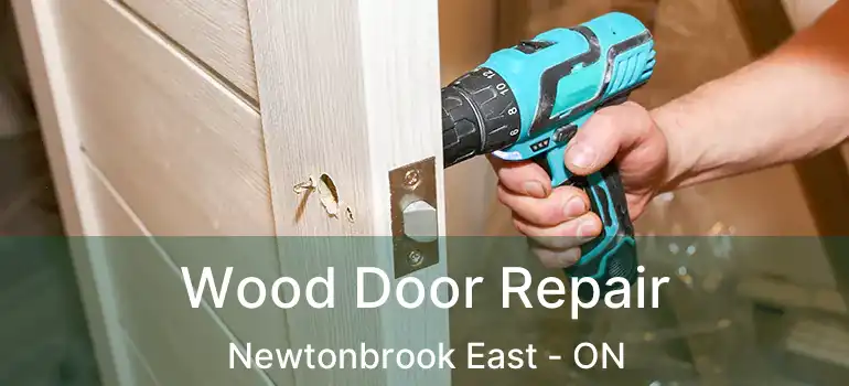  Wood Door Repair Newtonbrook East - ON