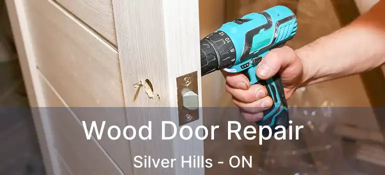  Wood Door Repair Silver Hills - ON