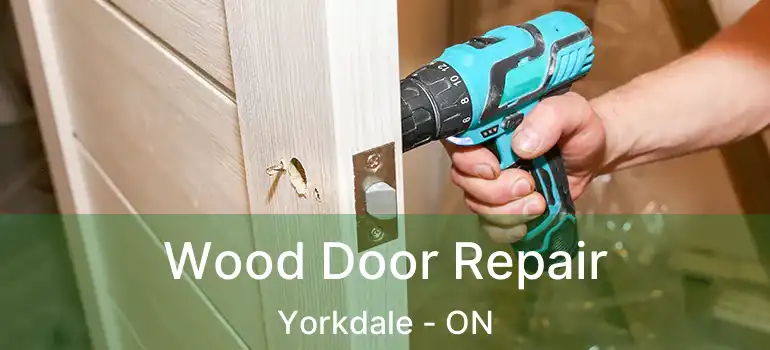  Wood Door Repair Yorkdale - ON